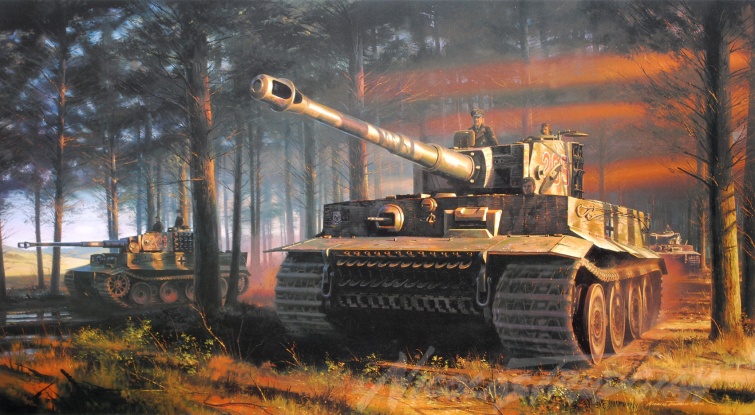Tiger Tiger by Nicolas Trudgian